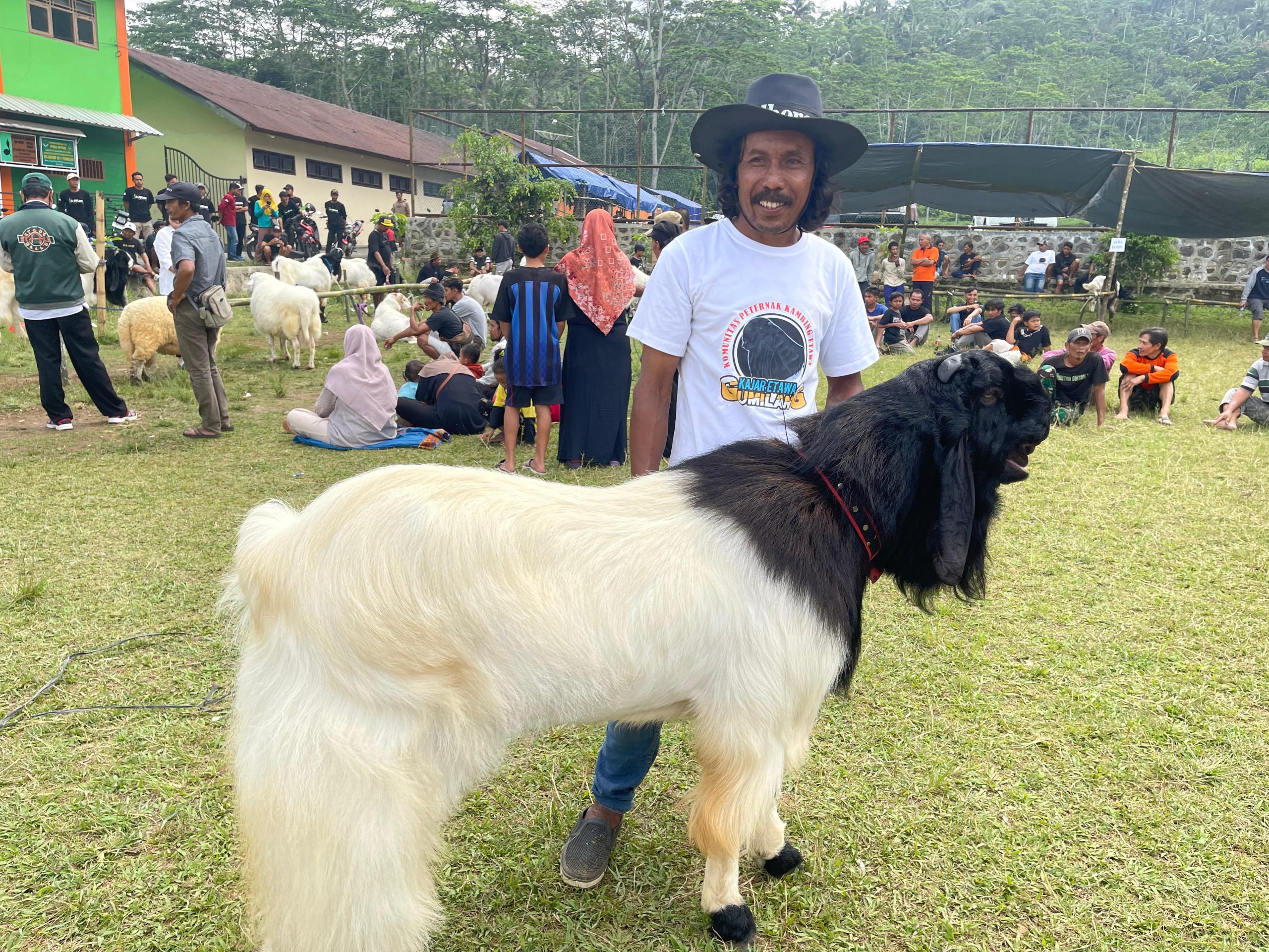 Karang Taruna Pustaka Radja Karangjambu Gelar Kontes Kecantikan Kambing