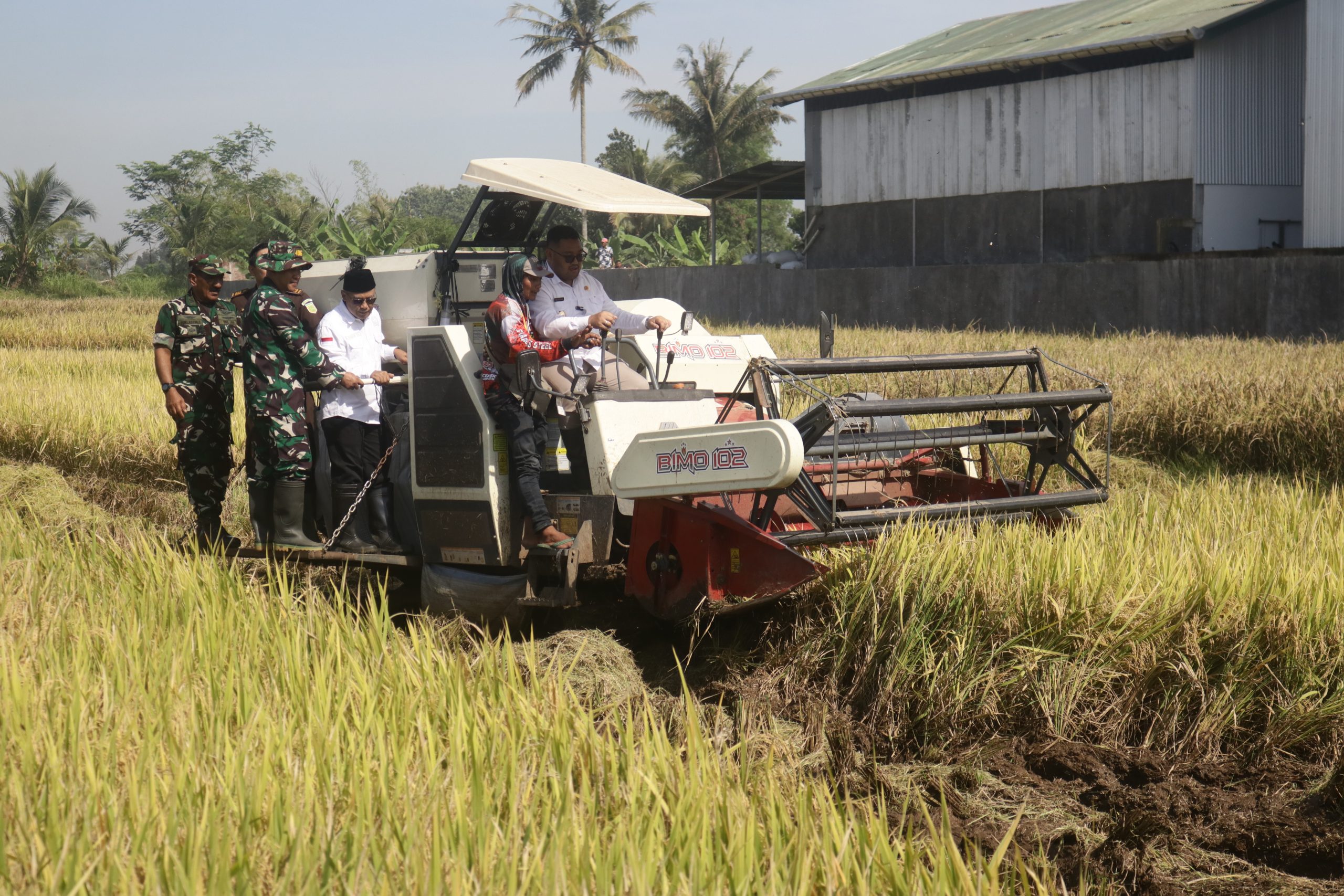 Dorong Swasembada Pangan Nasional, Pemkab Purbalingga Melaksanakan Panen Raya padi di Desa Gambarsari