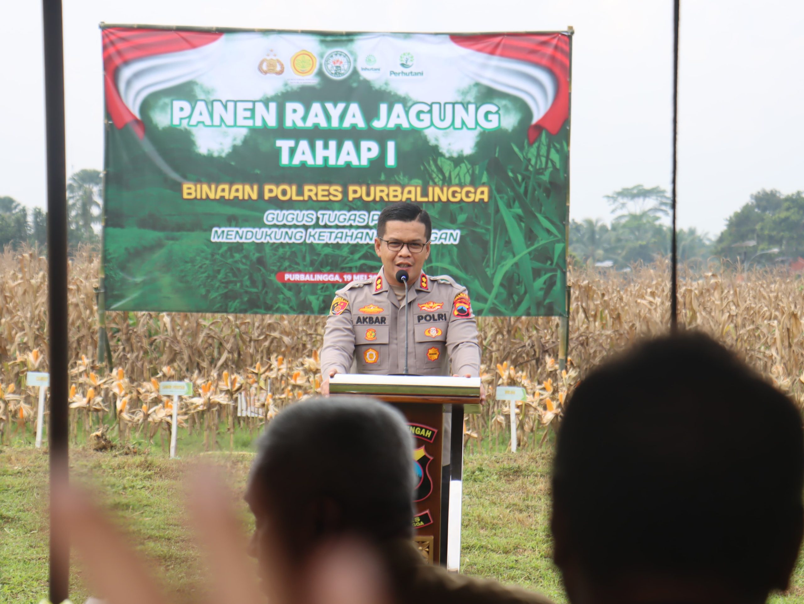 Berkolaborasi Dengan Pemdes Candiwulan, Polres Purbalingga Gelar Panen Raya Jagung di Kutasari