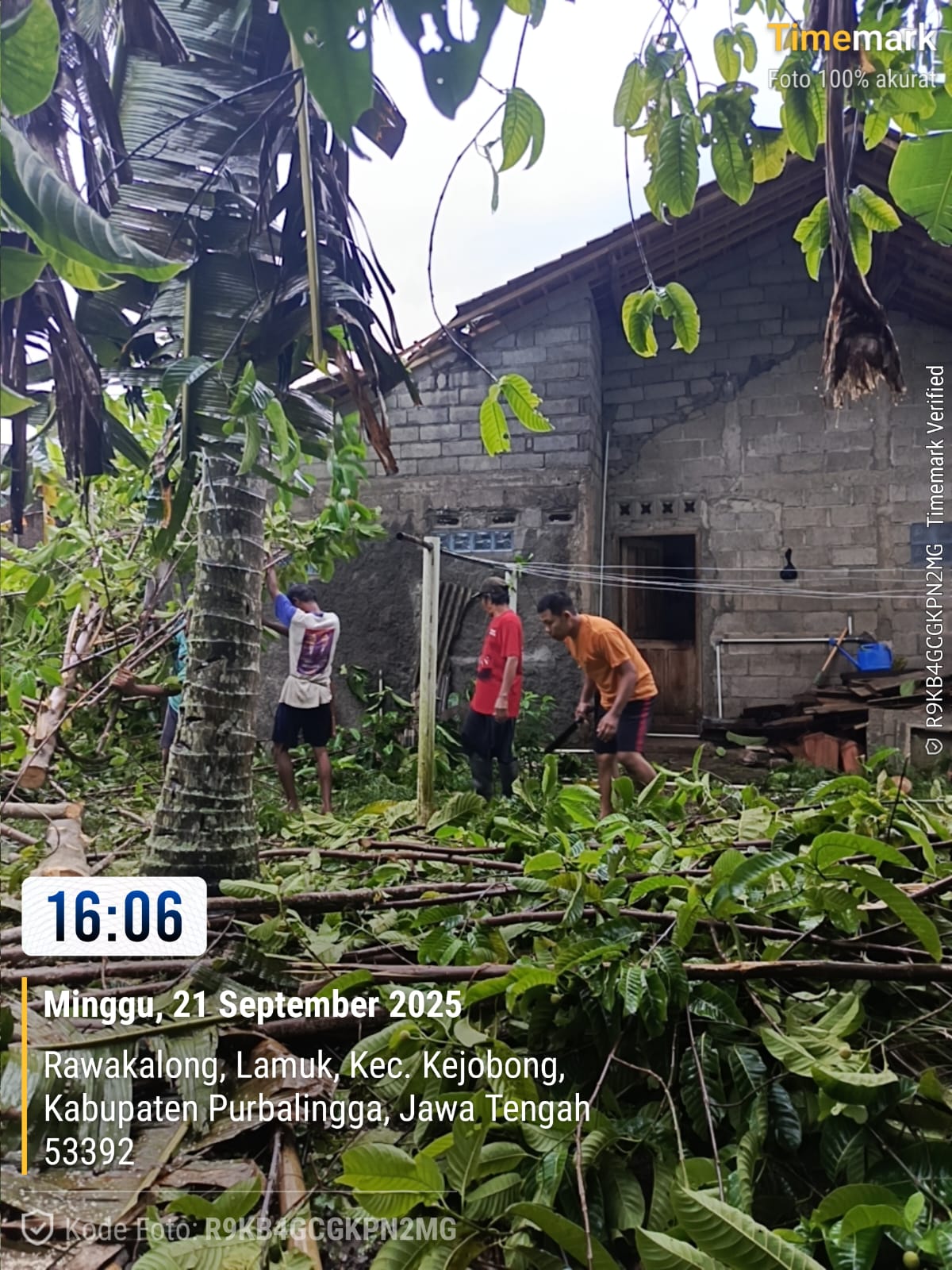 Hujan Angin Terjang Purbalingga, Dua Rumah Rusak Tertimpa Pohon
