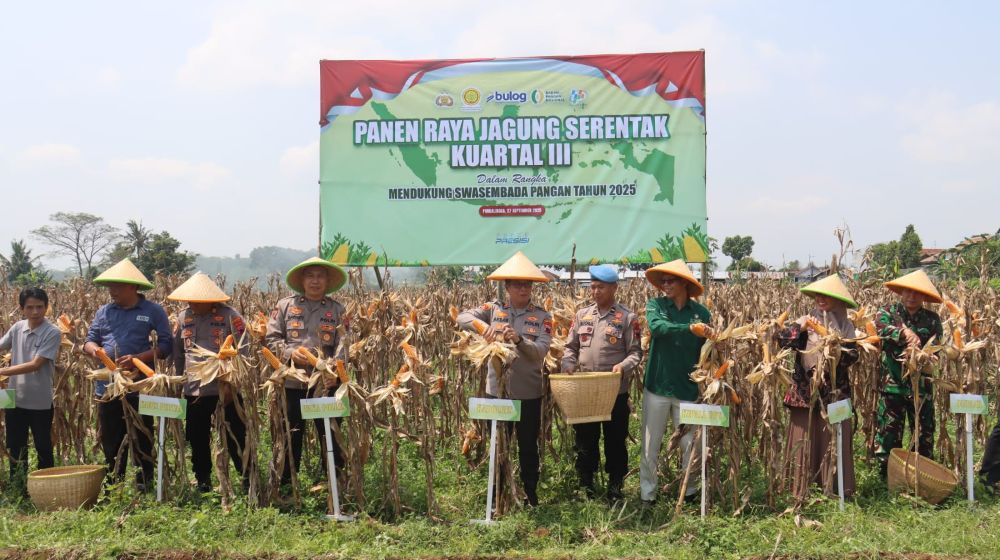 Wujud Dukungan Ketahanan Pangan, Polres Purbalingga Gelar  Panen Raya Jagung